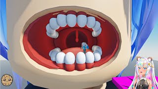 Going In The Body Obby Roblox [upl. by Aseyt]