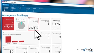 Reduce Spend amp Maintain License Compliance with Software License Optimisation from Flexera Software [upl. by Mun]