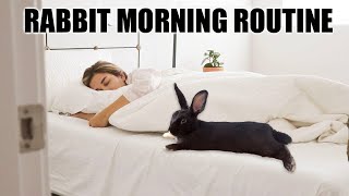 IN DEPTH BUNNY MORNING ROUTINE 💜 [upl. by Lidda]