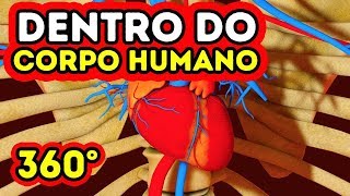 O que acontece dentro do seu corpo  360 VR [upl. by Nyleikcaj]