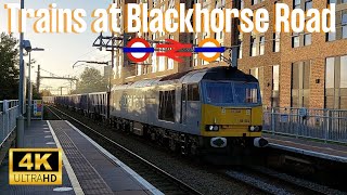 Trains at Blackhorse Road 19th October 2024 [upl. by Aiksa240]