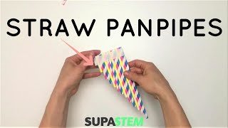 Straw Panpipes  How to Make a Homemade Pan Flute with Straws [upl. by Ailgna]