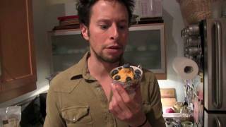 Persimmon Gelato Ice Cream Vegan Raw Food Recipe [upl. by Shyamal]