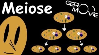 Meiose Biologie GeroMovie [upl. by Lazaruk]