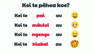 How are you  Learn Māori [upl. by Nnayllas]