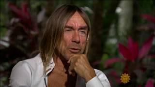 Iggy Pop  2017 Interview [upl. by Nho]