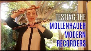 Review Mollenhauer Modern Recorders  Team Recorder [upl. by Aciretal68]