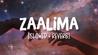 Zaalima SlowedReverb Song Lyrics  Raees [upl. by Yenar]