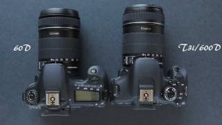 Canon 60D vs Canon T3i600D Comparison [upl. by Latnahc]