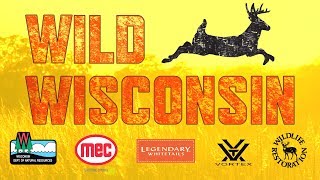 Know the rules before you hunt  Deer Hunting Rules and Regulations  Wild Wisconsin Ep 2 [upl. by Ainekahs]