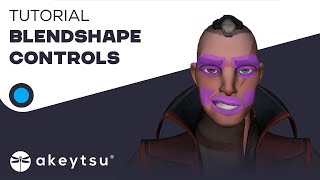 Learn akeytsu 19 Blendshape Controls [upl. by Nosdivad264]