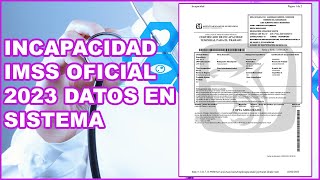 Incapacidad Oficial IMSS México 2025 [upl. by Akehsay]