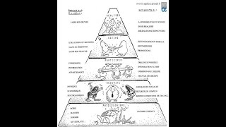 La Pyramide des besoins de Maslow [upl. by Rafi]