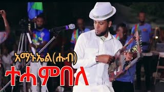 New Eritrean Music Amanuel Goitom ሑብ ትሓምበለLive on stage in festival dc 2024 [upl. by Annam]