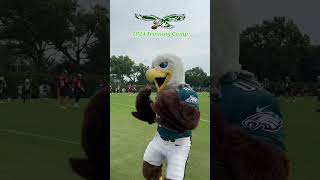 EAGLES TRAINING CAMP [upl. by Ardle]