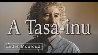 Tasainu  PAROLES⎟Zedek Mouloud [upl. by Sabec]