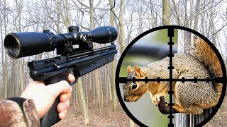 Squirrel Hunting with 177 Pellet Pistol Scope Cam [upl. by Ambrosia]