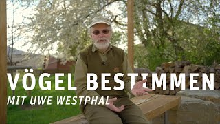 3 TIPPS zur VOGELBESTIMMUNG mit Uwe Westphal [upl. by Clevey953]