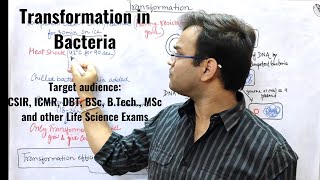 Transformation of bacterial cell [upl. by Howe]