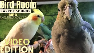 Bird Room Buddies  Happy Parrot Sounds  HD Parrot TV VIDEO EDITION  3 Hours  Bird Room TV [upl. by Nywra426]