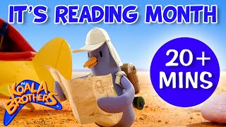 Its Reading Month 📚🤓 KoalaBrothersTV  20 Mins  compilation  Childrens Animation Series [upl. by Kenna]