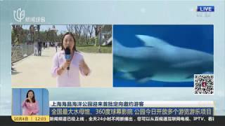 Shanghai Haichang Ocean Park Now Open [upl. by Earehs75]