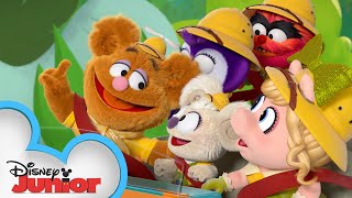 Backyard Safari  Muppet Babies  disneyjunior [upl. by Gylys]