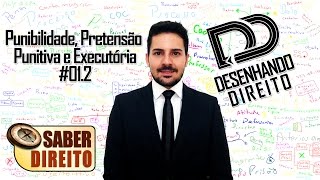 Punibilidade Pretensão Punitiva e Executória Aula 012  Saber Direito [upl. by Vickie]