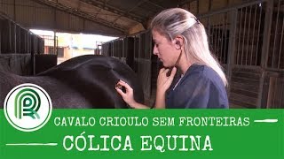 Aprenda a diagnosticar cólicas em cavalos [upl. by Tiphanie]