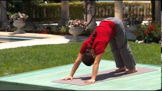 Hatha amp Flow Yoga for Beginners [upl. by Llerraj]