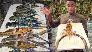 How To Catch Clean amp Cook Giant Crayfish [upl. by Xerxes]