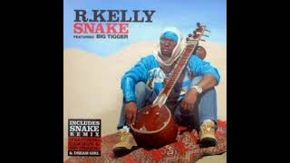 R Kelly  Snake High Pitch version Instrumental [upl. by Anahsahs]