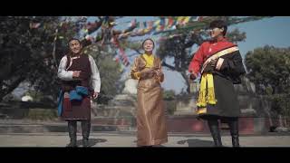 New losar song teaser [upl. by Fidellas67]