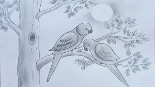 How to draw parrot couple on tree step by step very easy [upl. by Peterec]