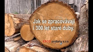 Jak se zpracovávají dubové kmeny pro výrobu dřevěných podlah ESCO [upl. by Hubsher]