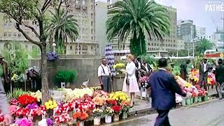 Johannesburg in 1962 60FPS HQ South Africa in the 1960s  British Pathé [upl. by Campbell]