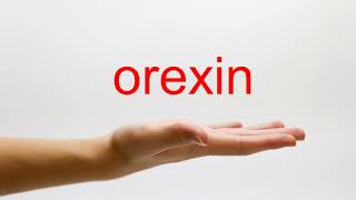 How to Pronounce orexin  American English [upl. by Hallerson543]