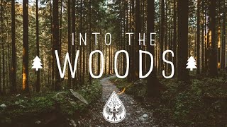 Into The Woods 🌲  A Mysterious FolkPop Playlist [upl. by Eirret]