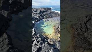 Tide Pool Treasure Hunt Real Life Moana 2 [upl. by Entsirhc]