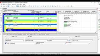 Video 4  Primavera P6 Adding activities  Activity duration  Free Primavera p6 Online tutorial [upl. by Aicirpac]