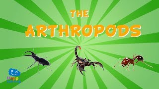 The Arthropods  Educational Video for Kids [upl. by Iruahs129]