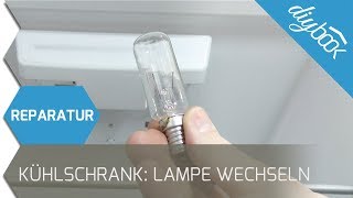 Kühlschrank  Lampe wechseln [upl. by Alain]