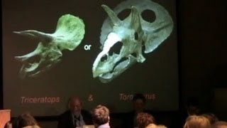 Are Torosaurus and Triceratops the same dinosaur smackdown at the Peabody [upl. by Michell]