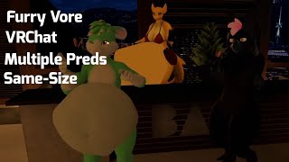 Pred Pool Party VRC Vore [upl. by Stanton621]