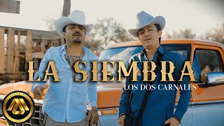 Los Dos Carnales  La Siembra Video Oficial [upl. by Salvucci]