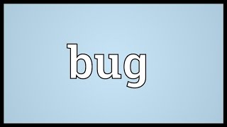 Bug Meaning [upl. by Strephon]