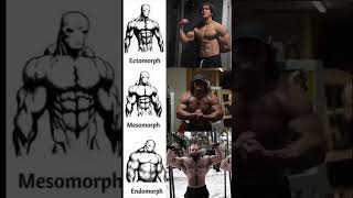 Ectomorph body type [upl. by Etnaud]