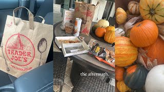 trader joe’s fall snacks [upl. by Paluas944]