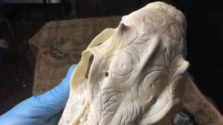 How I carved a deer skull [upl. by Adniled470]