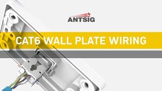 ANTSIG  How to Wire a CAT6 Wall Plate [upl. by Cresa244]